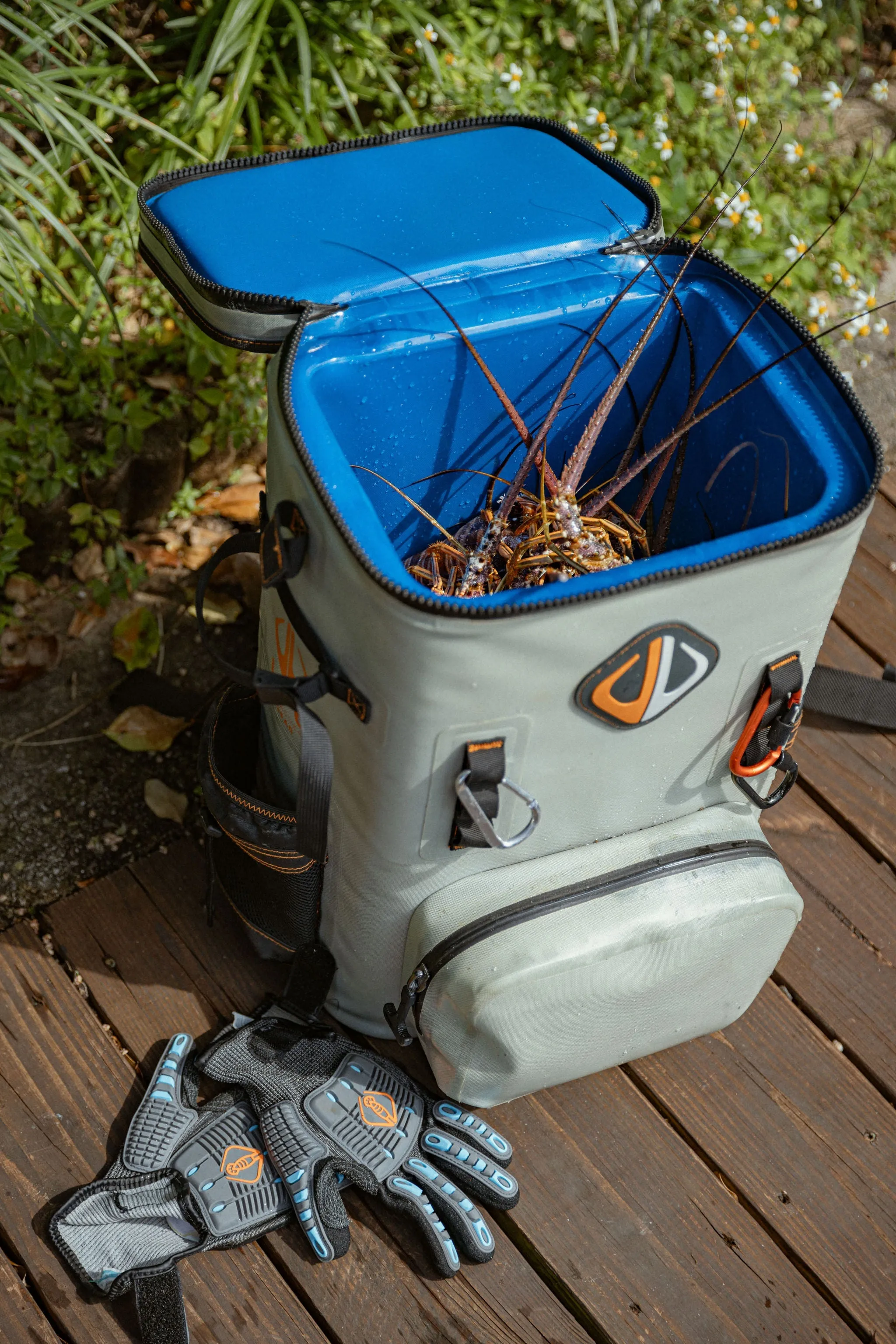 Cooler Backpack